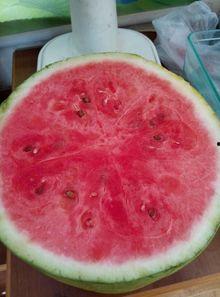 88医院吃瓜,一场吃瓜群众的狂欢盛宴